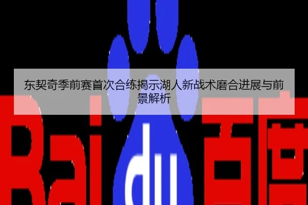 东契奇季前赛首次合练揭示湖人新战术磨合进展与前景解析