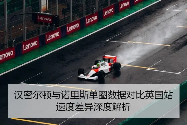 汉密尔顿与诺里斯单圈数据对比英国站速度差异深度解析